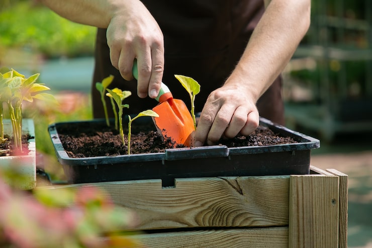 How to Start a Garden When You Have Absolutely No Idea What You’re Doing how to start a garden